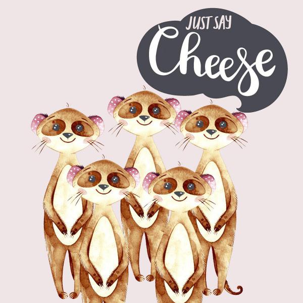 Tissue-Serviette 33 x 33 cm Say Cheese 3-lagig, 240 Stk/Krt (12 x 20 Stk)