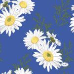 Tissue-Serviette 24 x 24 cm Daisy Blue 3-lagig, 240 Stk/Krt (12 x 20 Stk)