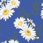 Tissue-Serviette 33 x 33 cm Daisy Blue 3-lagig, 240 Stk/Krt (12 x 20 Stk)